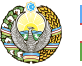 logo-icon